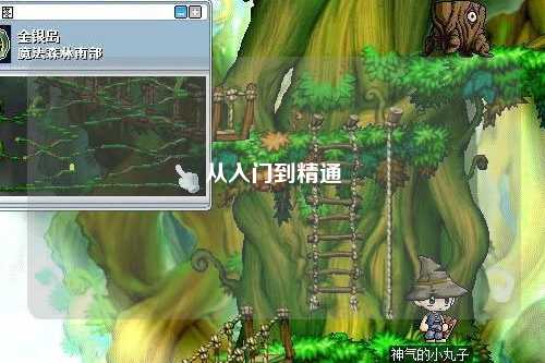 从入门到精通